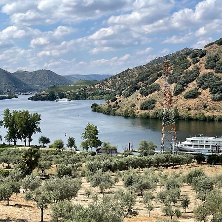 הוילה טורה דה מונקורבו Douro Visit House מראה חיצוני תמונה
