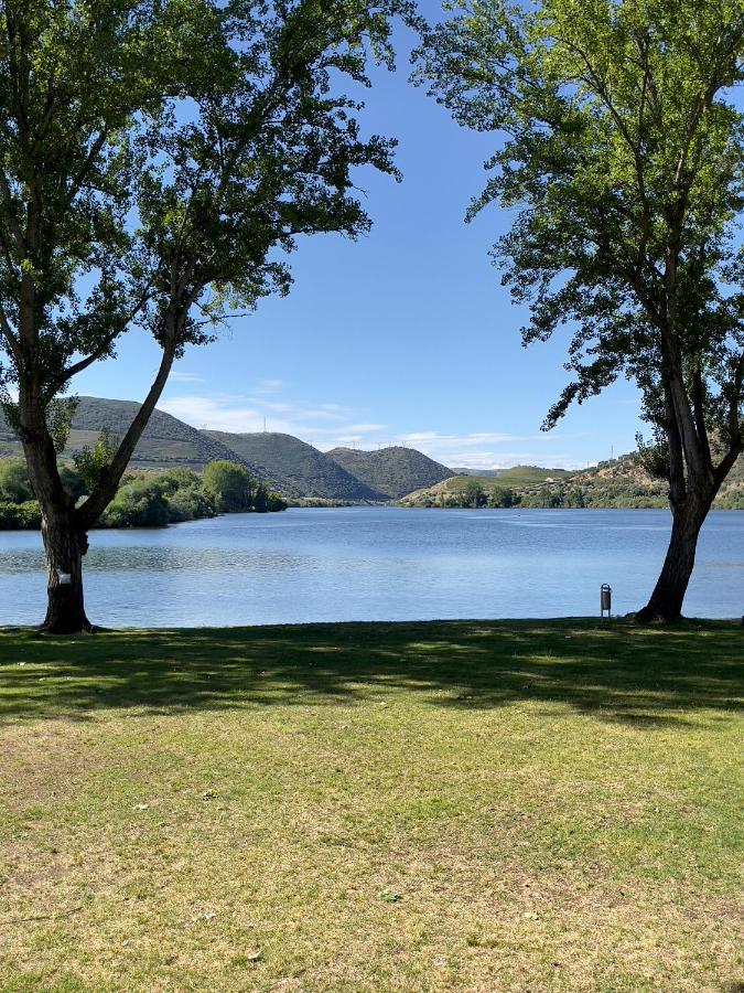 הוילה טורה דה מונקורבו Douro Visit House מראה חיצוני תמונה
