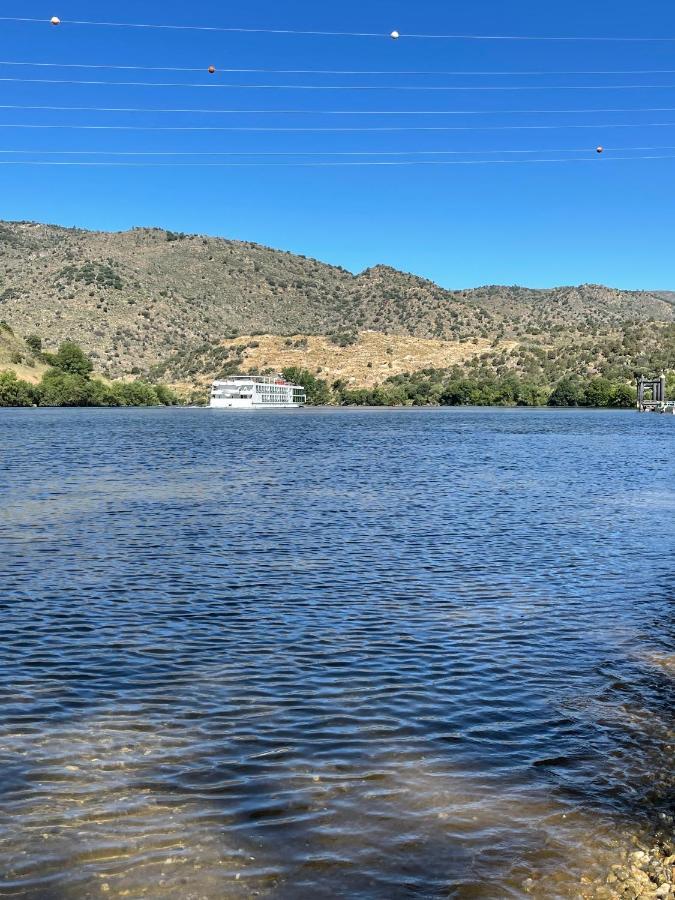 הוילה טורה דה מונקורבו Douro Visit House מראה חיצוני תמונה