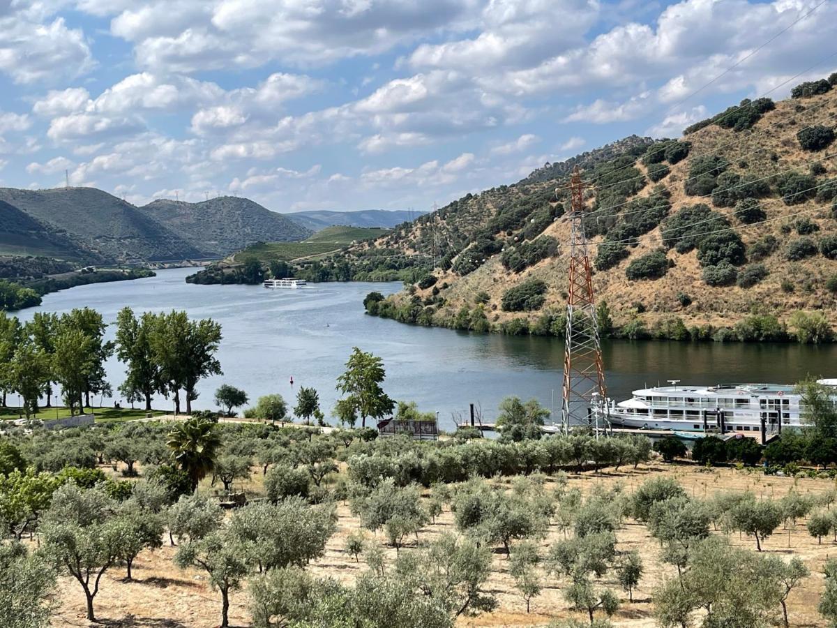הוילה טורה דה מונקורבו Douro Visit House מראה חיצוני תמונה